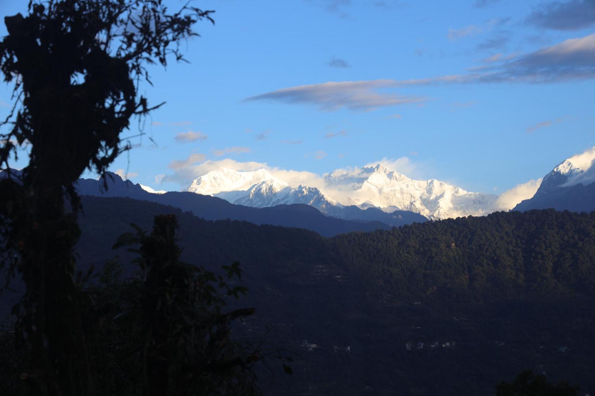 Gyalshing Red Panda Jungle Camp - A Unit Of Davinchi Homes Pvt Ltd מראה חיצוני תמונה