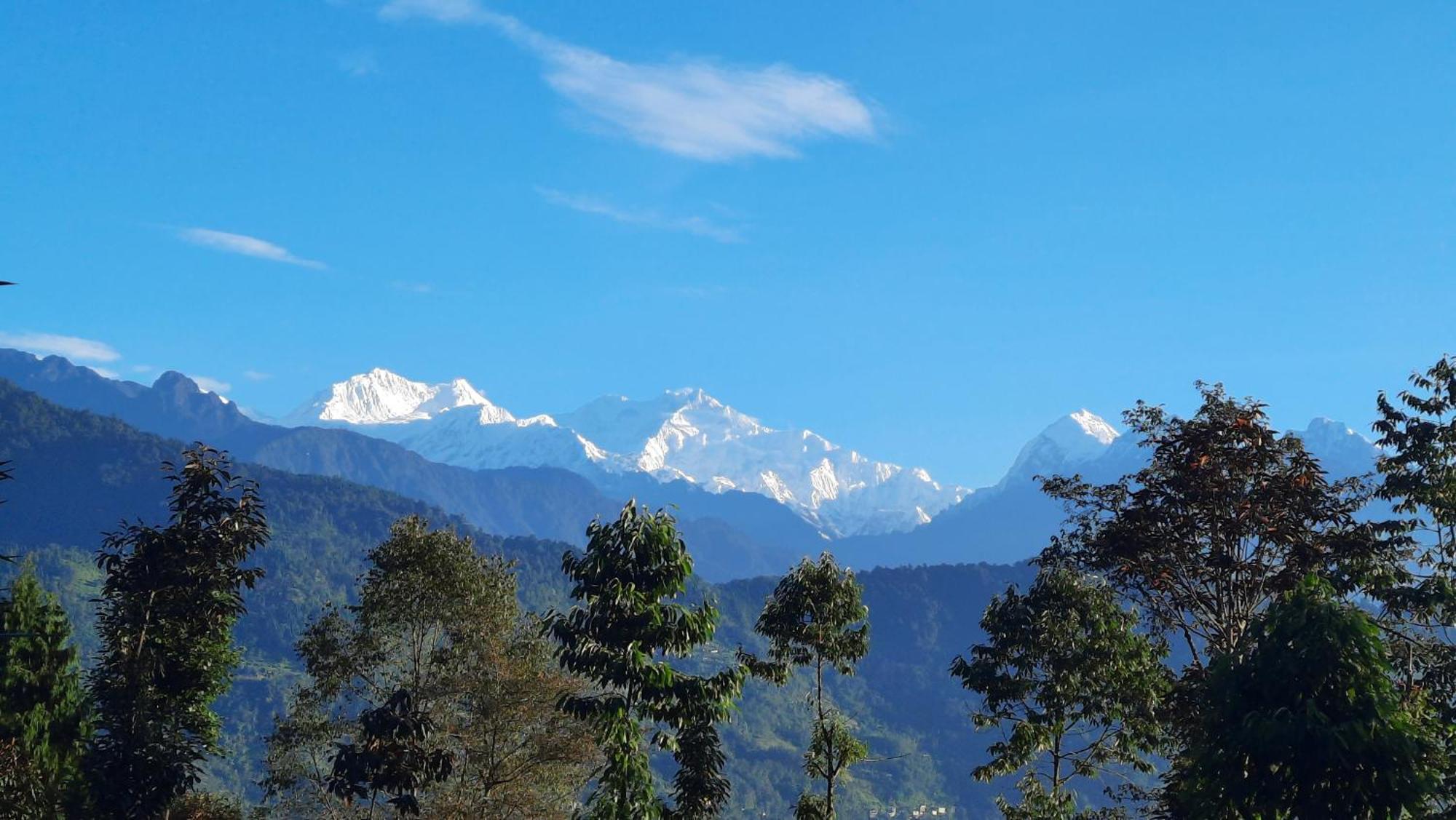 Gyalshing Red Panda Jungle Camp - A Unit Of Davinchi Homes Pvt Ltd מראה חיצוני תמונה